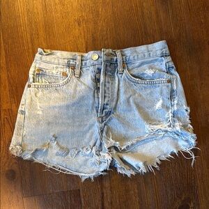 Agolde Parker Shorts - Swapmeet
